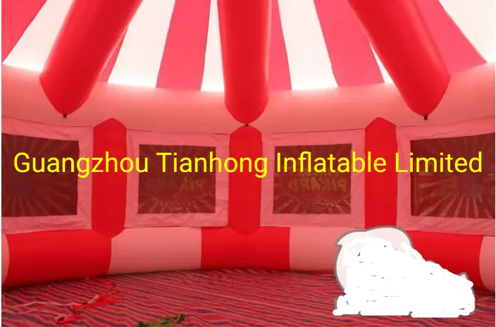 8m Giant Inflatable Circus Dome Tent