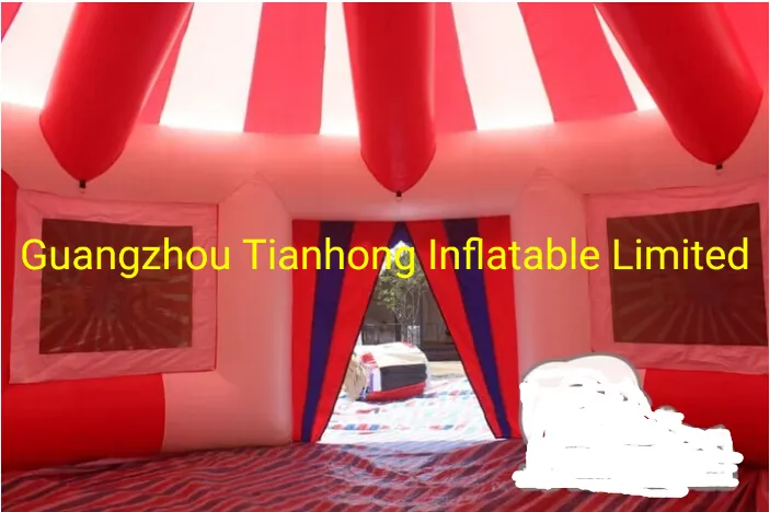 8m Giant Inflatable Circus Dome Tent