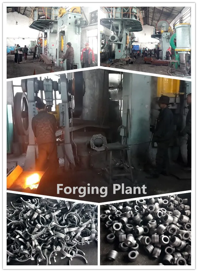 Aluminum Die Forging Horseshoe for Spain and USA Market