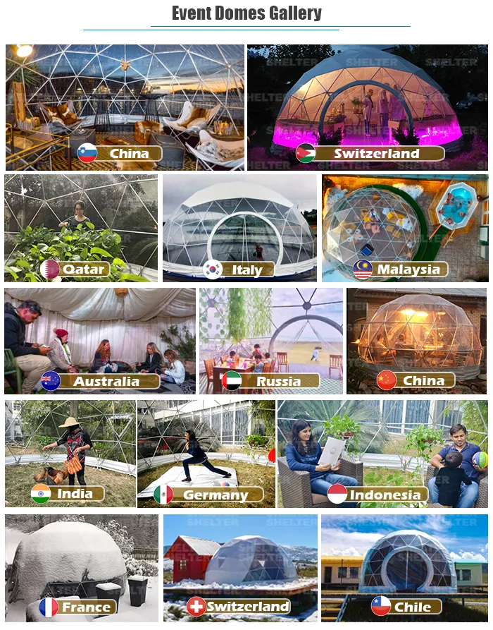 Backyard Party Tent Family Gathering Geodesic Dome Tents Igloo