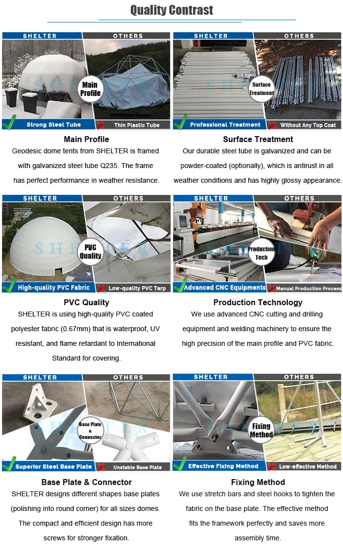 Backyard Party Tent Family Gathering Geodesic Dome Tents Igloo