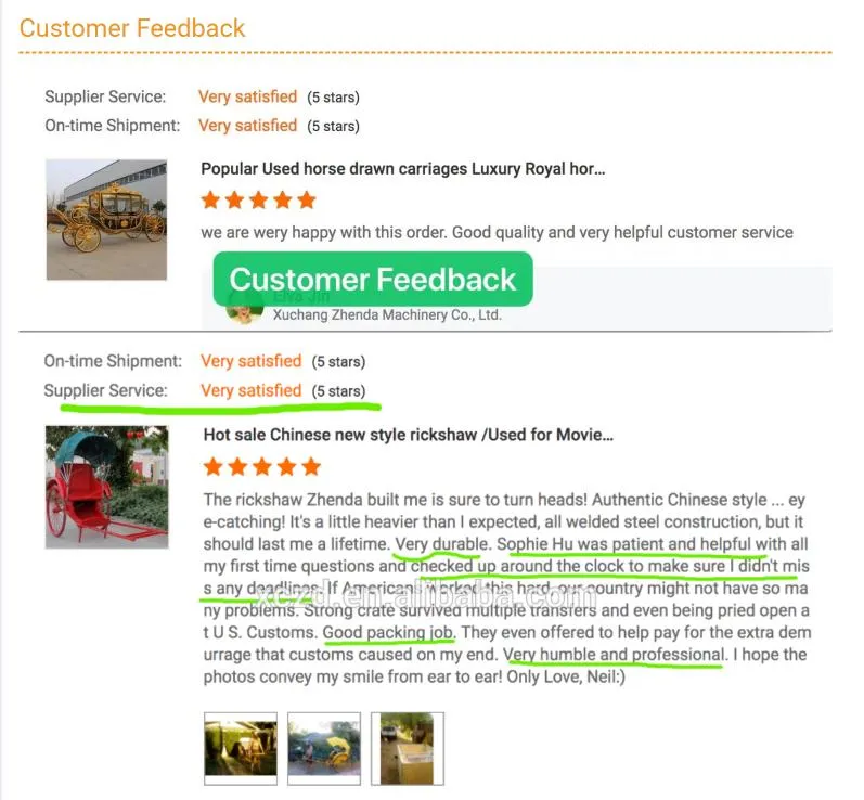 Best Selling Sightseeing Electric Marathon Royal Horse Carts/Horse Wagon/Horse Carriage for Sale