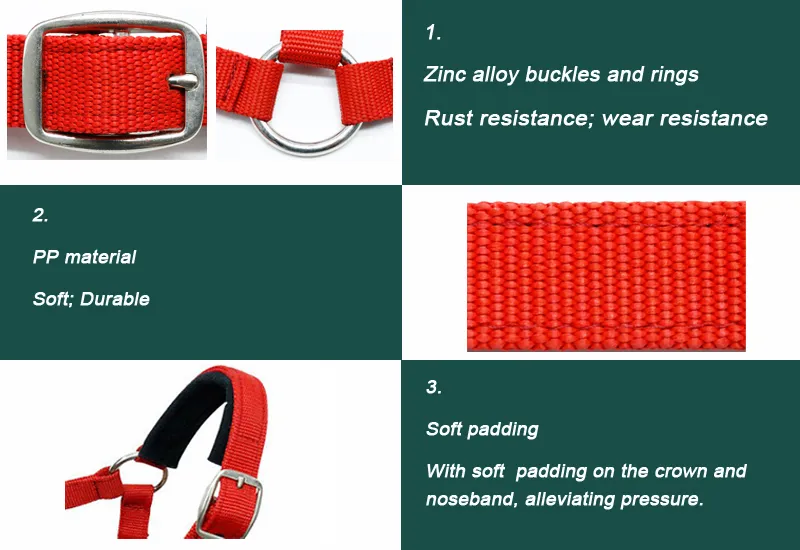 Colorful Adjustable Horse PP Halters for Horse Racing and Riding