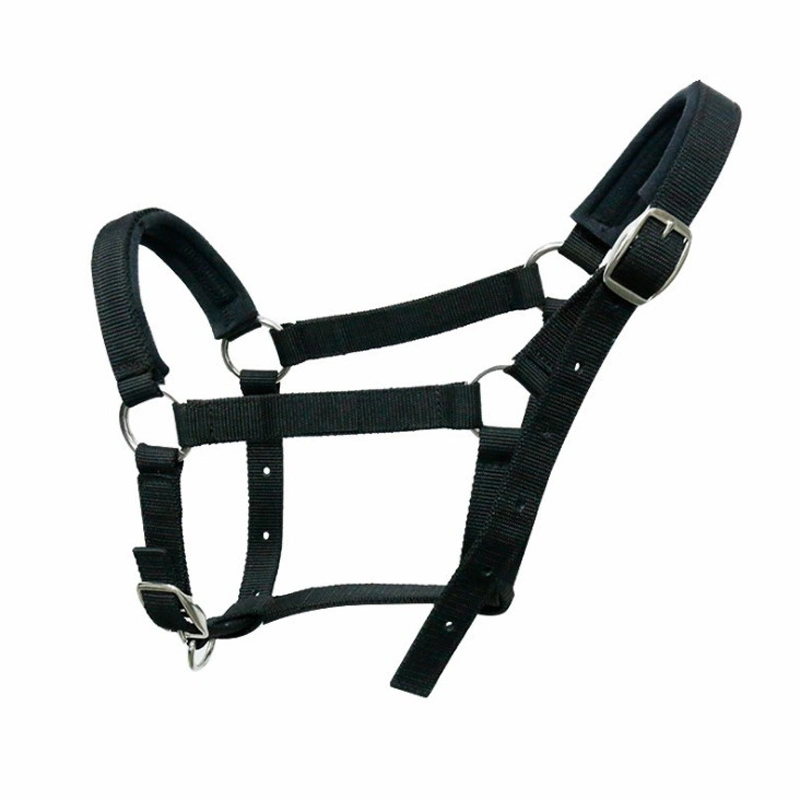 Colorful Adjustable Horse PP Halters for Horse Racing and Riding