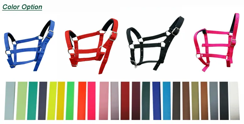 Colorful Adjustable Horse PP Halters for Horse Racing and Riding