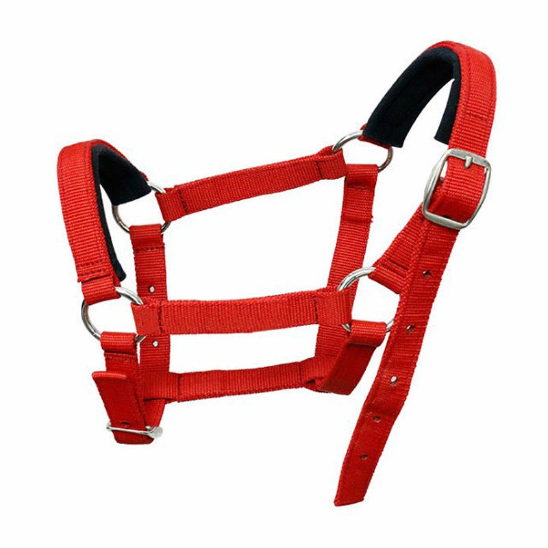 Colorful Adjustable Horse PP Halters for Horse Racing and Riding
