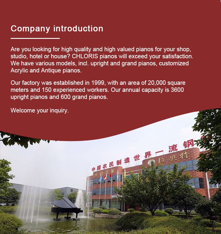 Competitive Price Popular Model Black Baby Grand Keyboard Piano Hg-152e 88 Keys