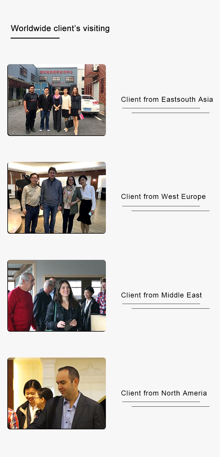 Competitive Price Popular Model Black Baby Grand Keyboard Piano Hg-152e 88 Keys