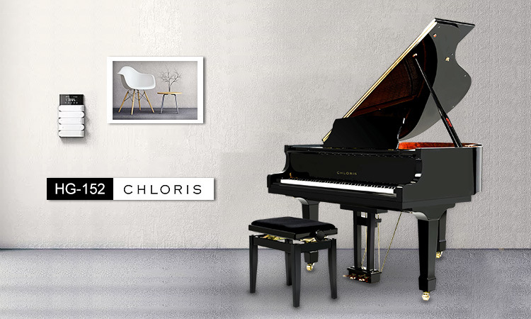 Competitive Price Popular Model Black Baby Grand Keyboard Piano Hg-152e 88 Keys