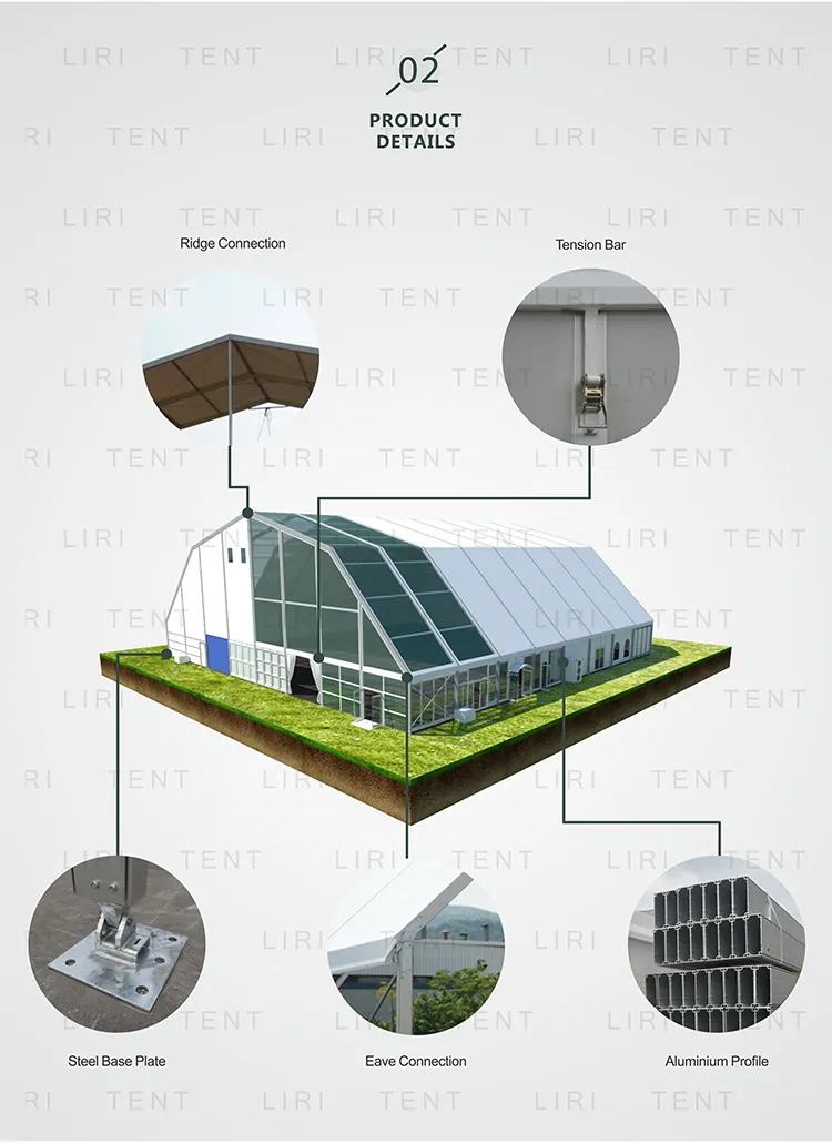 Custom Made Multi-Arch Polygon Reception Circus Tents for Events Outdoor