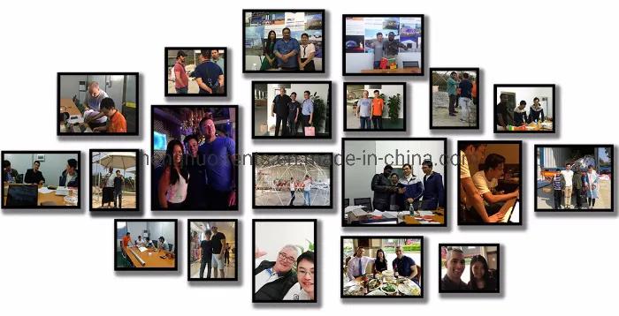 Diameter 6m Winter Luxury Glamping Hotel Outdoor Dome Camping Tent