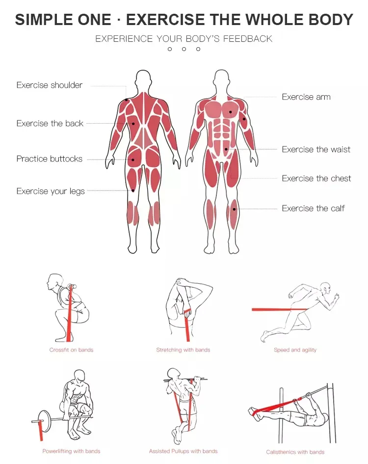 Fitness Home Gym Sporting Exercise Resistance Band for Yoga Body Exercise