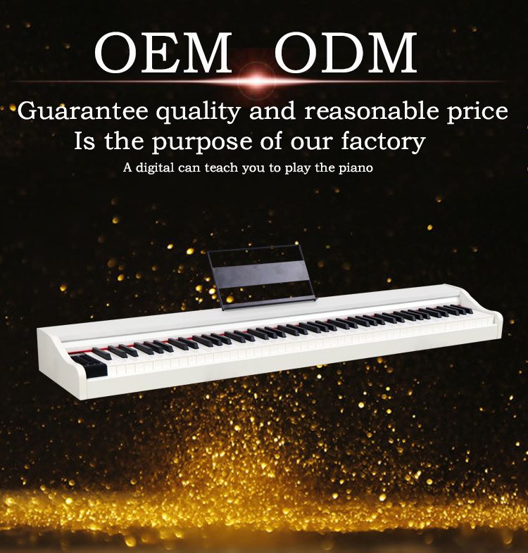 Portable 88 Keys Electric Standard Touch Keyboard China MIDI Digital Piano