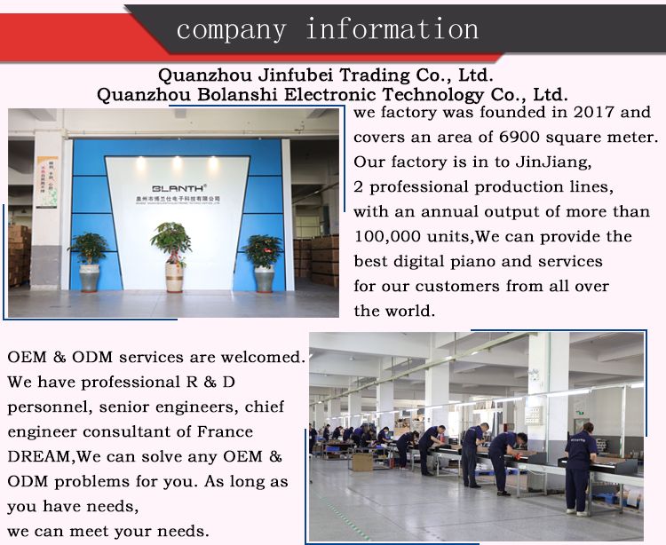 Portable 88 Keys Electric Standard Touch Keyboard China MIDI Digital Piano