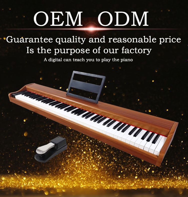 Portable 88 Keys Standard Touch Keyboard Used Electronic for Sale MIDI Digital Piano