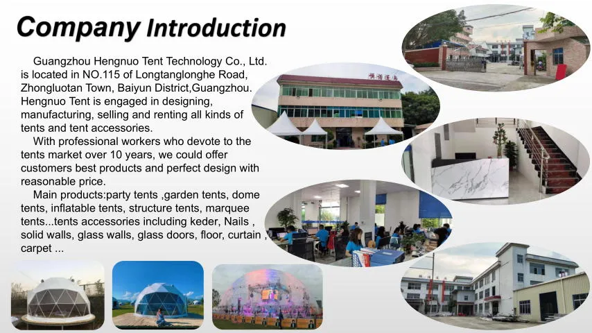 Prefab Hotel Resort Waterproof Geodesic Dome House Tent for Camping